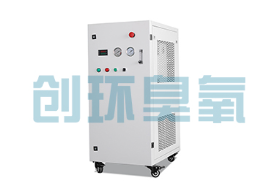 盘锦石斑鱼养殖水质调控完整指南:臭氧发生器配置与操作步骤